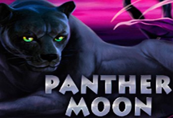 Panther Moon
